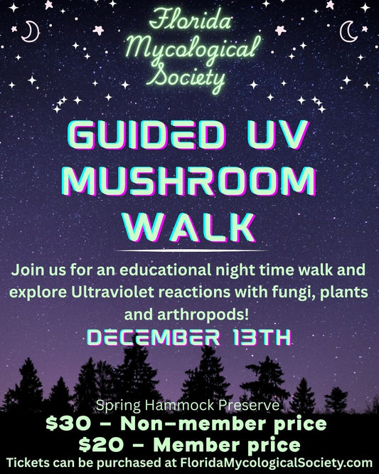 December UV Guided Mushroom Walk