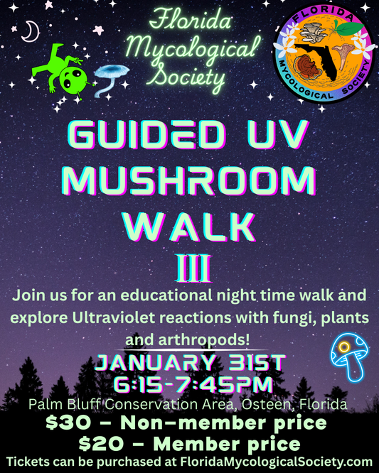 January 31st UV Guided Mushroom Walk