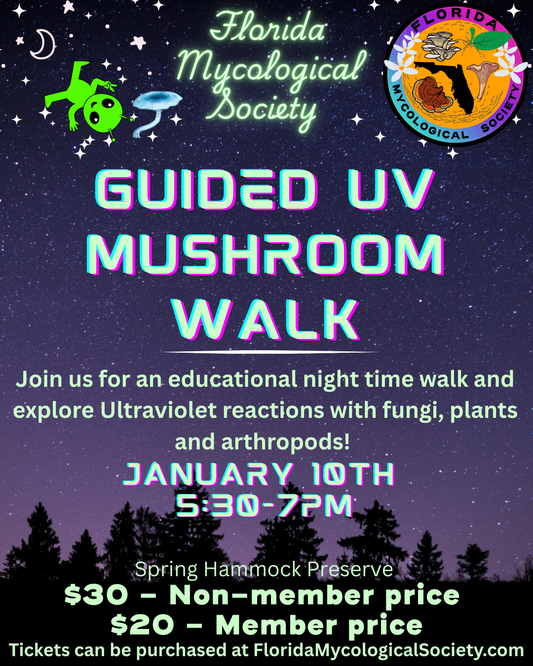 January 10th UV Guided Mushroom Walk