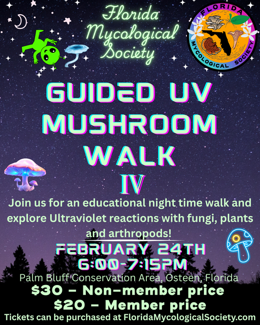 February 24th UV Guided Mushroom Walk